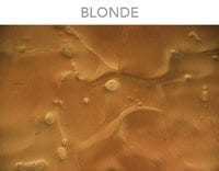 epoxy metallic blonde 2.8MBL