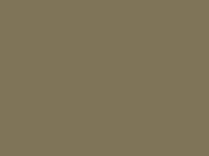 Sand Buff Colored Floor Polyurethane Water-Based ColorTec 400WB
