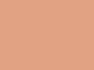 Coral High Gloss Colored Floor Polyurethane Solvent ColorTec 400